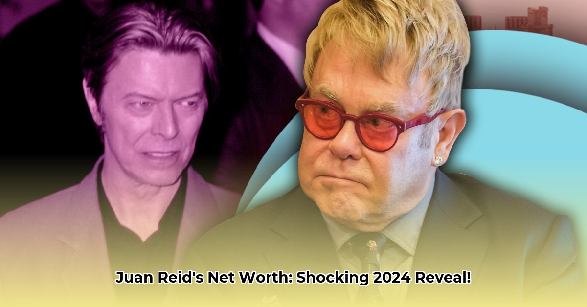juan-reid-net-worth